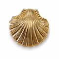 Seashell Hair Clip - Vantage Jewelry
