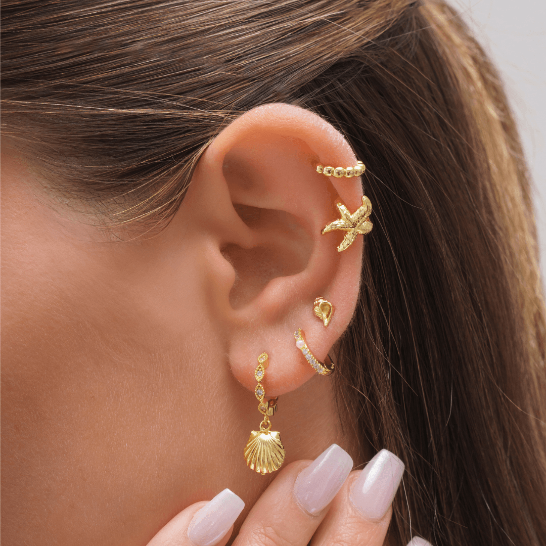 Conch Earrings