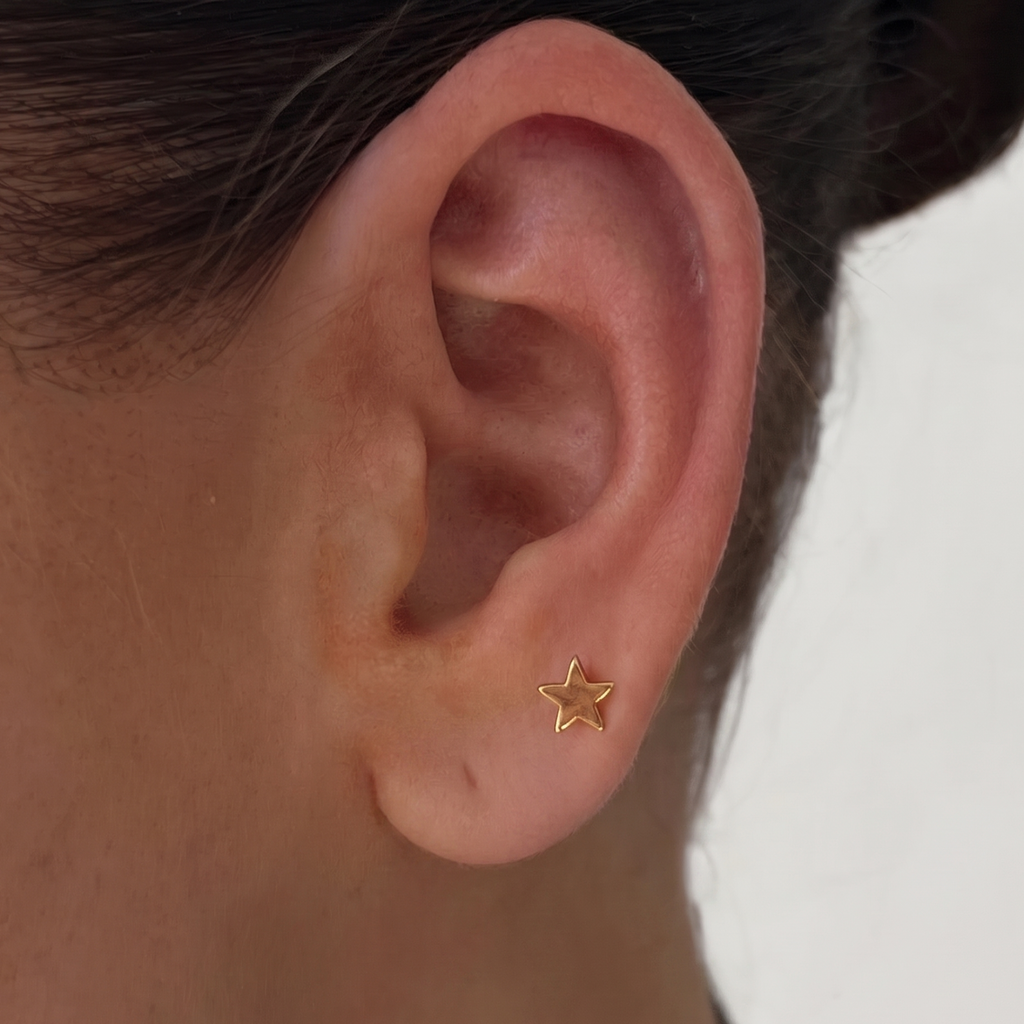 Reach for the Stars Earrings - Vantage Jewelry