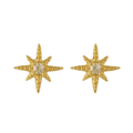 Radiant Star Earrings - Vantage Jewelry